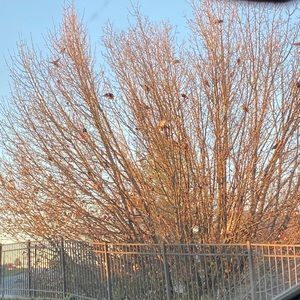 Meet your Posher, Douglas